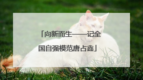 向新而生——记全国自强模范唐占鑫