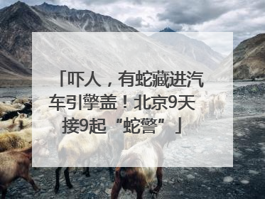吓人，有蛇藏进汽车引擎盖！北京9天接9起“蛇警”