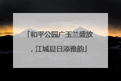 和平公园广玉兰盛放，江城夏日添雅韵