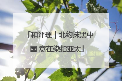和评理｜北约抹黑中国 意在染指亚太
