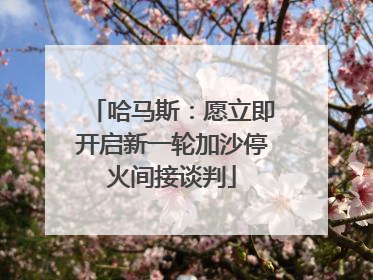 哈马斯：愿立即开启新一轮加沙停火间接谈判