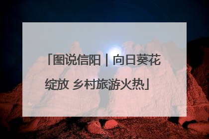 图说信阳｜向日葵花绽放 乡村旅游火热