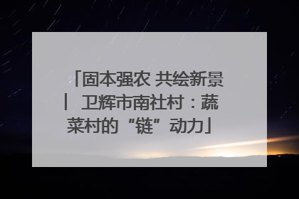 固本强农 共绘新景 ︳卫辉市南社村：蔬菜村的“链”动力