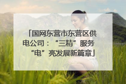 国网东营市东营区供电公司：“三精”服务“电”亮发展新篇章