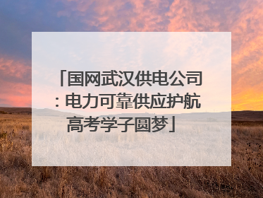 国网武汉供电公司：电力可靠供应护航高考学子圆梦