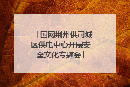 国网荆州供司城区供电中心开展安全文化专题会