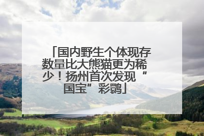 国内野生个体现存数量比大熊猫更为稀少！扬州首次发现“国宝”彩鹮