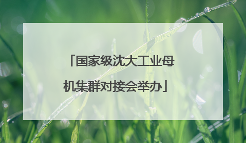 国家级沈大工业母机集群对接会举办