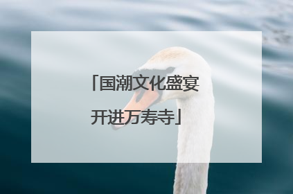 国潮文化盛宴开进万寿寺