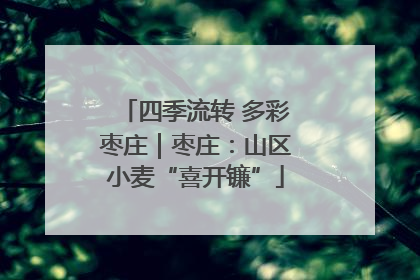 四季流转 多彩枣庄｜枣庄：山区小麦“喜开镰”