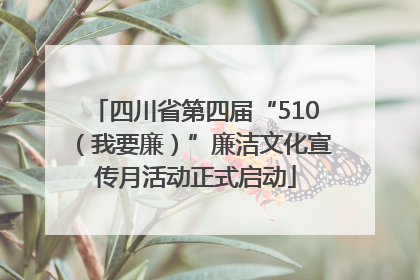 四川省第四届“510（我要廉）”廉洁文化宣传月活动正式启动