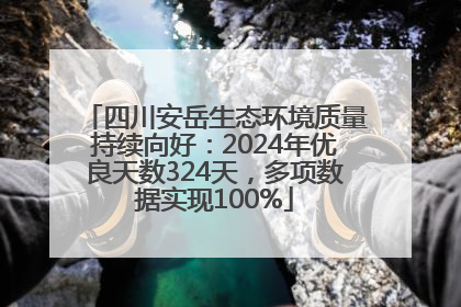四川安岳生态环境质量持续向好：2024年优良天数324天，多项数据实现100%
