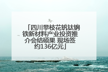四川攀枝花钒钛钢铁新材料产业投资推介会结硕果 现场签约136亿元