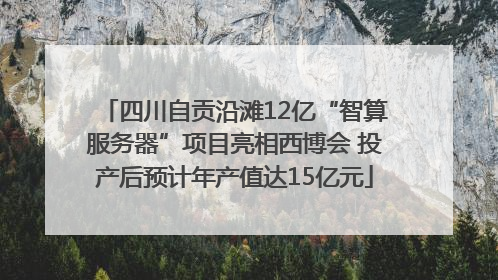 四川自贡沿滩12亿“智算服务器”项目亮相西博会 投产后预计年产值达15亿元