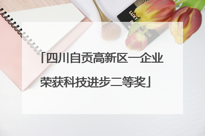四川自贡高新区一企业荣获科技进步二等奖