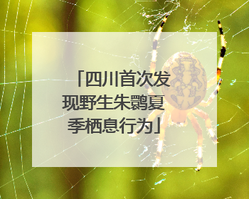 四川首次发现野生朱鹮夏季栖息行为