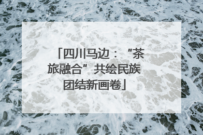 四川马边：“茶旅融合”共绘民族团结新画卷