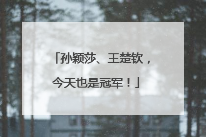 孙颖莎、王楚钦，今天也是冠军！