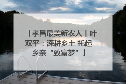 孝昌最美新农人丨叶双平：深耕乡土 托起乡亲“致富梦”