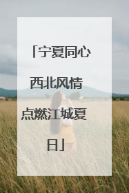 宁夏同心 西北风情点燃江城夏日