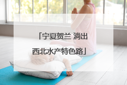 宁夏贺兰 淌出西北水产特色路