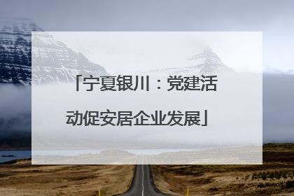 宁夏银川：党建活动促安居企业发展