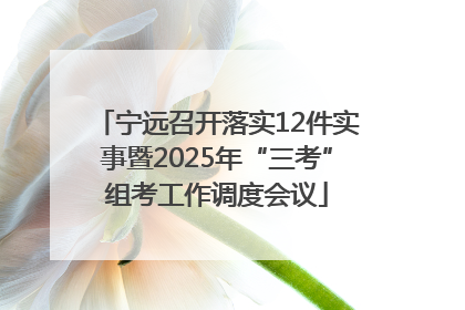 宁远召开落实12件实事暨2025年“三考”组考工作调度会议