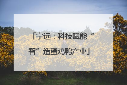 宁远：科技赋能“智”造蛋鸡鸭产业