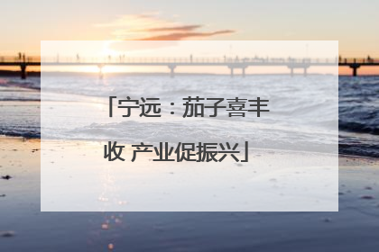 宁远：茄子喜丰收 产业促振兴