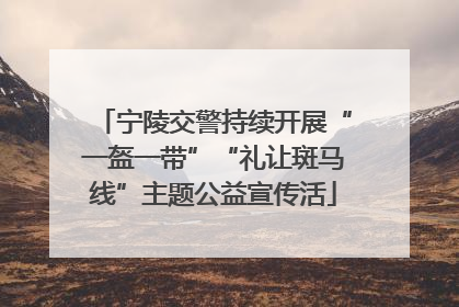 宁陵交警持续开展“一盔一带”“礼让斑马线”主题公益宣传活