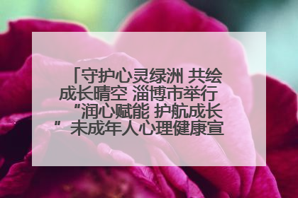 守护心灵绿洲 共绘成长晴空 淄博市举行“润心赋能 护航成长”未成年人心理健康宣传教育主题活动
