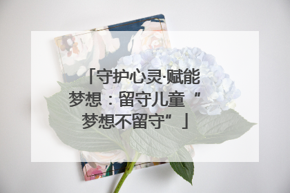 守护心灵·赋能梦想：留守儿童“梦想不留守”