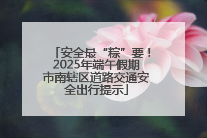 安全最“粽”要！2025年端午假期市南辖区道路交通安全出行提示