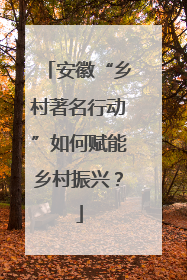 安徽“乡村著名行动”如何赋能乡村振兴？