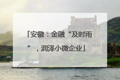 安徽：金融“及时雨”，润泽小微企业