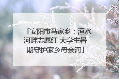 安阳市马家乡：洹水河畔志愿红 大学生暑期守护家乡母亲河