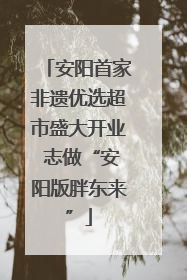 安阳首家非遗优选超市盛大开业 志做“安阳版胖东来”