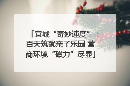 宜城“奇妙速度”：百天筑就亲子乐园 营商环境“磁力”尽显