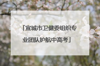宣城市卫健委组织专业团队护航中高考