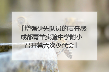 增强少先队员的责任感 成都青羊实验中学附小召开第六次少代会