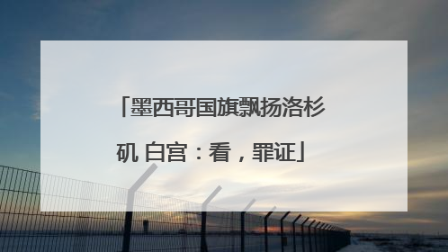 墨西哥国旗飘扬洛杉矶 白宫：看，罪证