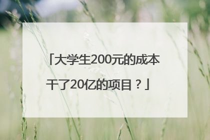 大学生200元的成本干了20亿的项目？