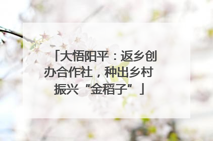 大悟阳平：返乡创办合作社，种出乡村振兴“金稻子”