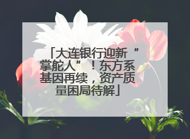 大连银行迎新“掌舵人”！东方系基因再续，资产质量困局待解