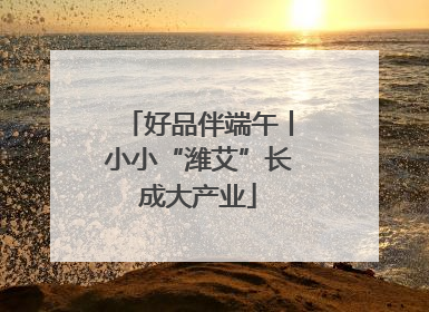 好品伴端午丨小小“潍艾”长成大产业
