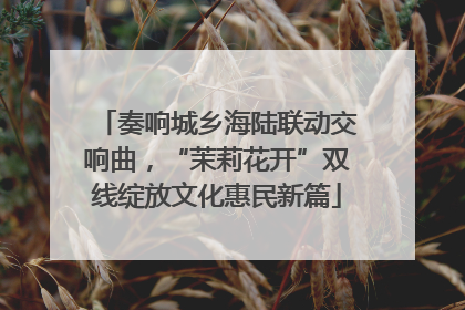 奏响城乡海陆联动交响曲，“茉莉花开”双线绽放文化惠民新篇