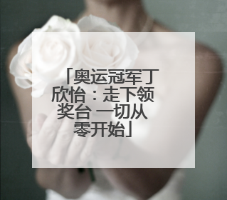 奥运冠军丁欣怡：走下领奖台 一切从零开始