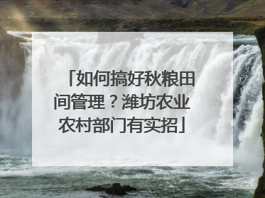 如何搞好秋粮田间管理？潍坊农业农村部门有实招