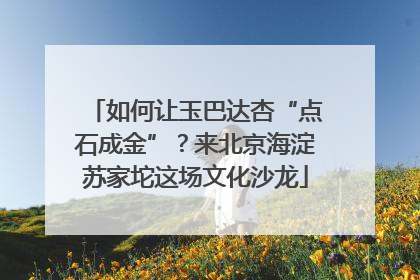 如何让玉巴达杏“点石成金”？来北京海淀苏家坨这场文化沙龙