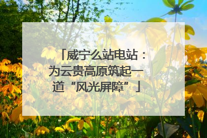 威宁么站电站：为云贵高原筑起一道“风光屏障”